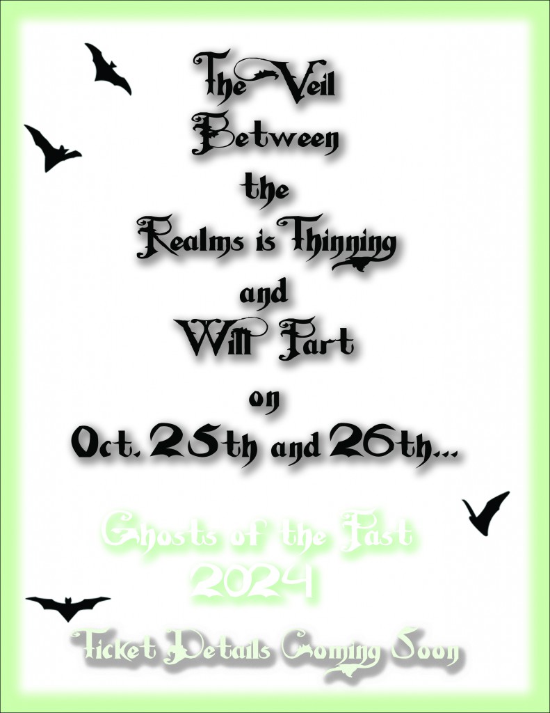 Veil Graphic 2